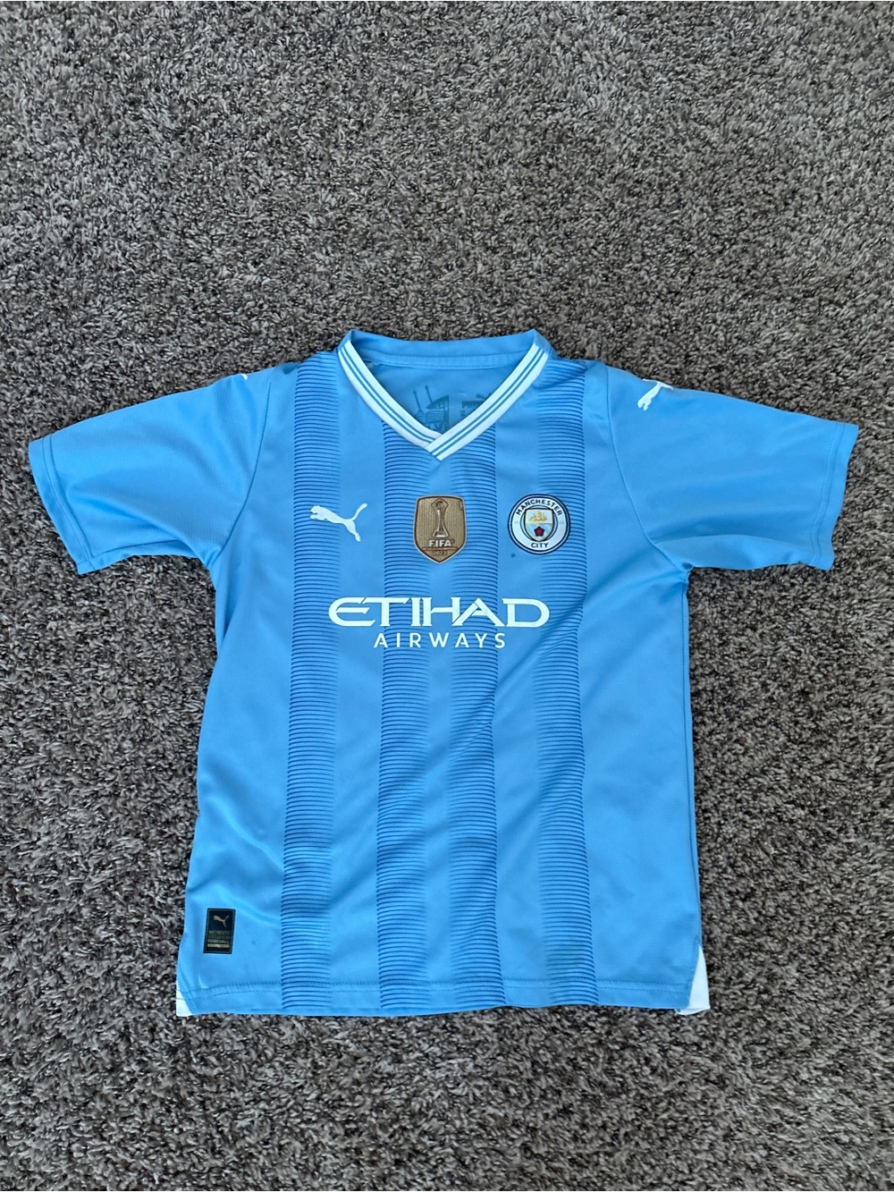 Puma Kids' Sky Blue Manchester City Football Jersey